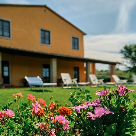 8380 Agriturismo Il Saragiolo Manciano Exterior photo