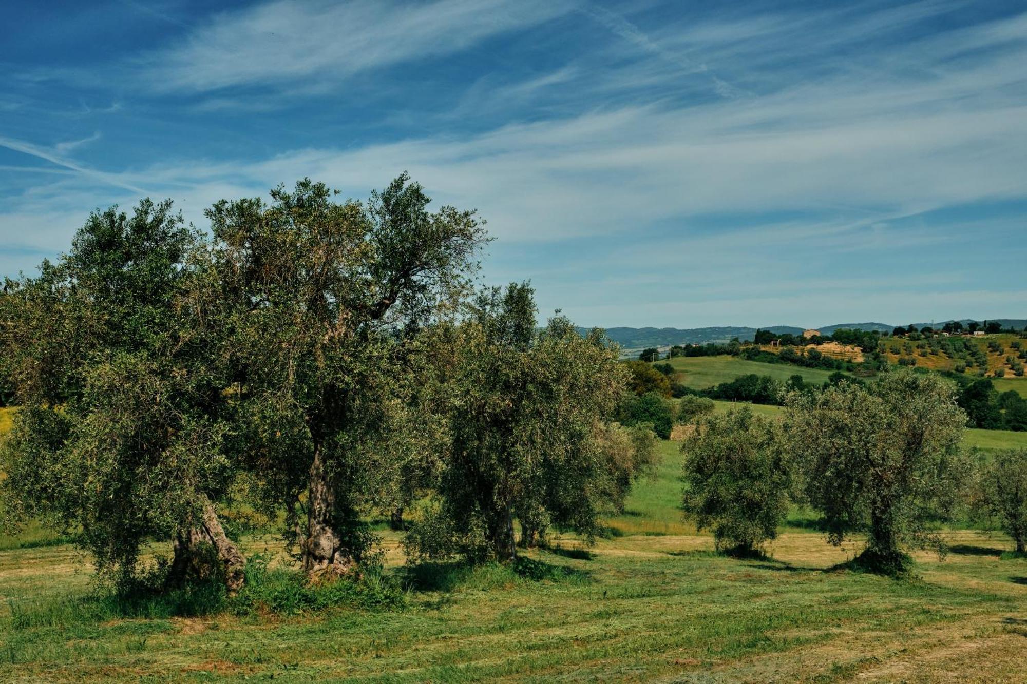 8380 Agriturismo Il Saragiolo Manciano Exterior photo